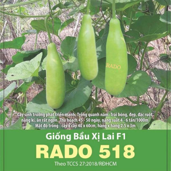 hat-giong-bau-xi-lai-f1-rado518