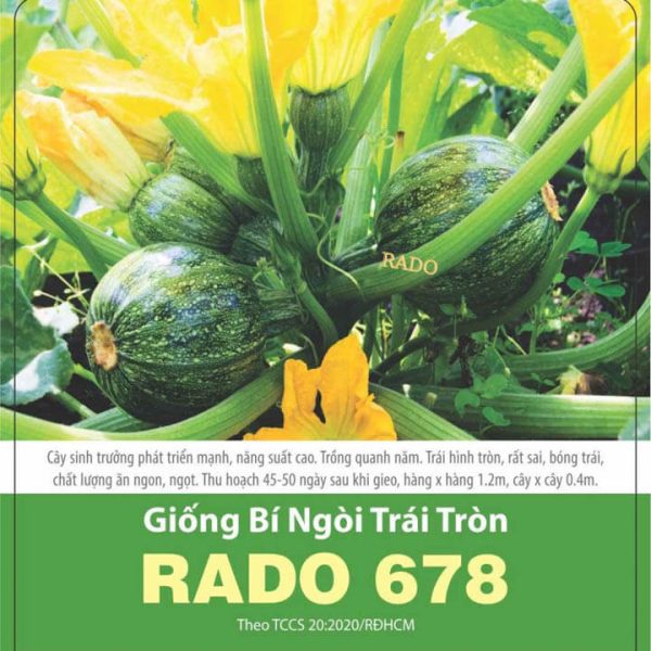 hat-giong-bi-ngoi-tron-rado678-1gr