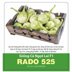 hat-giong-ca-ngot-lai-rado525