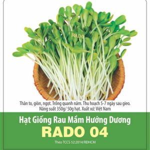 hat-giong-mam-huong-duong-rado04