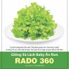 hat-giong-xa-lach-baby-an-non-rado360